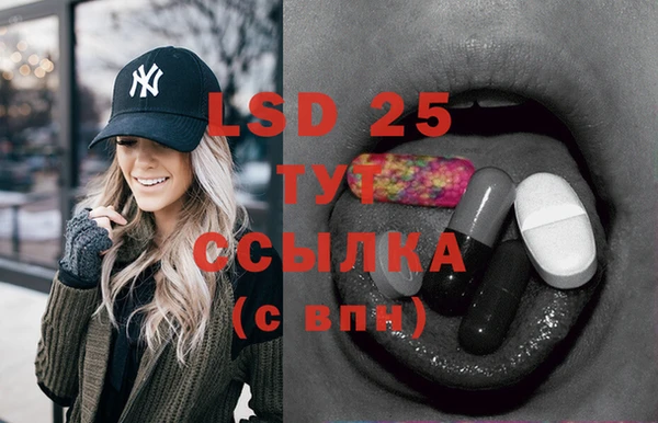 крисы Абаза