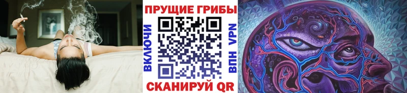 МЕГА зеркало Бежецк Галлюциногенные грибы Psilocybe